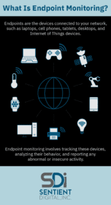 SDi graphic explaining Endpoint Monitoring