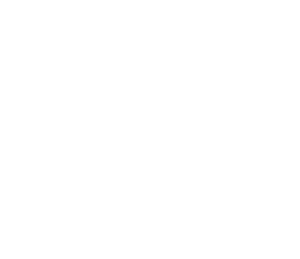 Sentient Digital, Inc.
