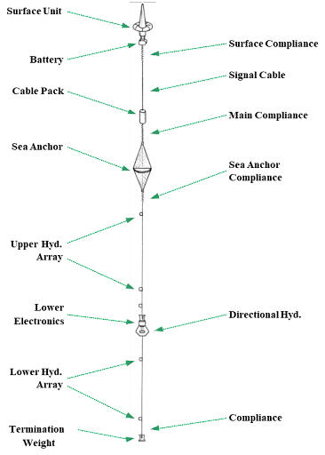 Digital Vertical Line Array Sonobuoy Graphic